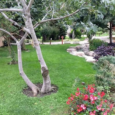 Sea View Studio In 4-star Garden Of Eden, 아파트